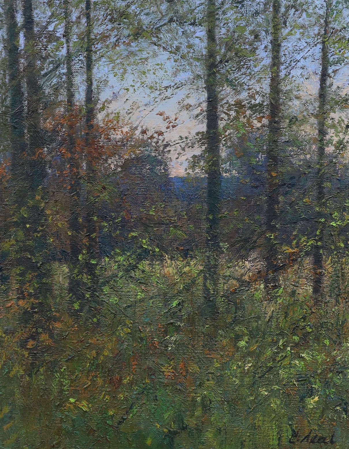 Charles Neal (1951-), oil on canvas, 'Autumn wood, Norbury Hill, Coln Valley, Gloucestershire, November evening' signed, label verso, 51 x 41cm